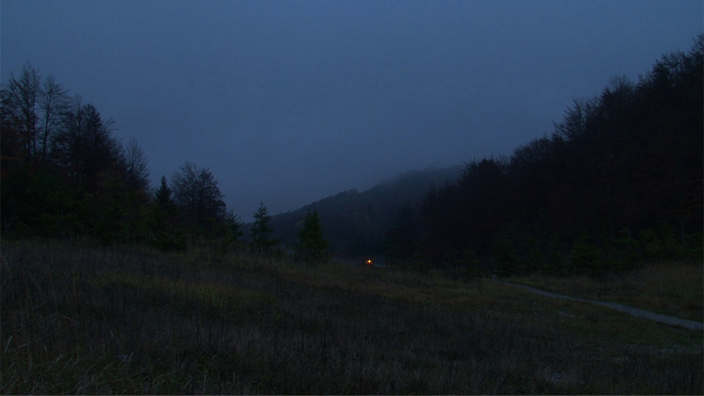 C Lebas, Tracking Nature